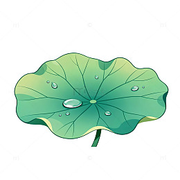 荷叶露珠插画设计素材