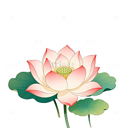 淡雅荷花插画设计素材