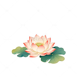 水彩荷花淡雅插画