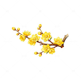 迎春花手绘插画素材