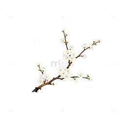 简约白花红枝背景设计素材