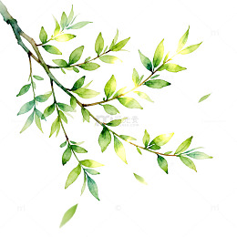 水彩树枝树叶装饰图案