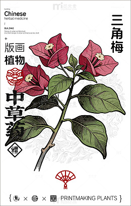 版画风格三角梅植物插画设计素材
