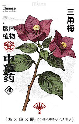 版画风格三角梅花卉设计素材