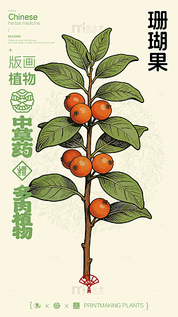 水墨风中草药植物插画