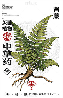 中国风肾蕨植物中草药版画
