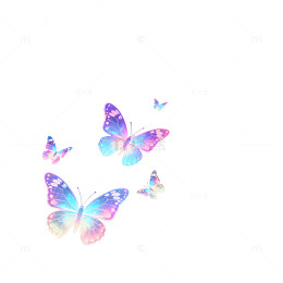 梦幻蝴蝶星光壁纸