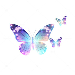 彩虹光效梦幻蝴蝶插画