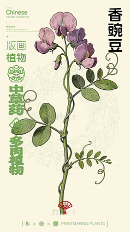 版画风格中草药香豌豆插图