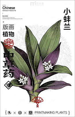 中国风小蚌兰植物版画海报