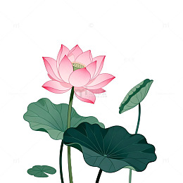 插画风格荷花荷叶元素设计素材