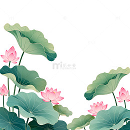 中国风荷花荷叶插画设计素材