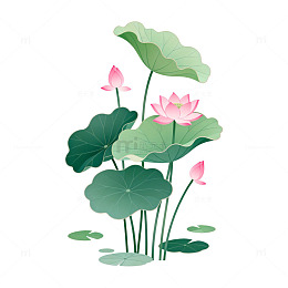 插画风格荷花荷叶图案设计素材