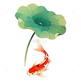 荷叶锦鲤卡通插画