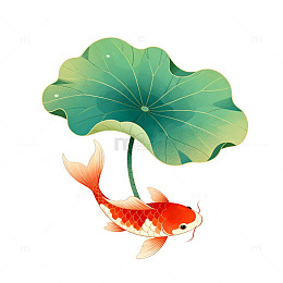 水墨风锦鲤荷叶卡通插画