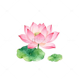 水彩荷花淡雅清新植物插画