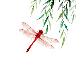 水墨红蜻蜓柳叶装饰画