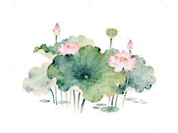 水墨荷花水彩画