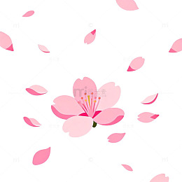 樱花飘落春天背景设计素材