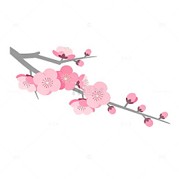 粉色梅花插画设计元素