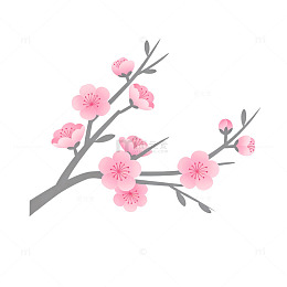 粉色樱花枝条插画素材