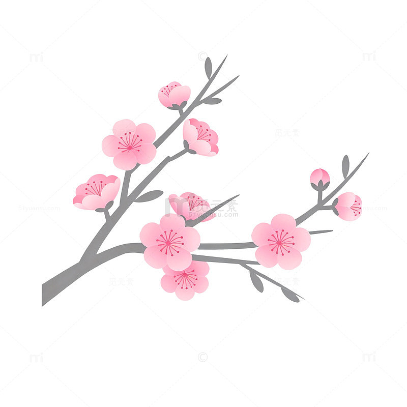 粉色樱花枝条插画素材