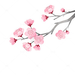 樱花枝条水墨画设计素材
