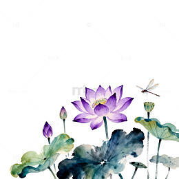 水墨荷花蜻蜓艺术插画