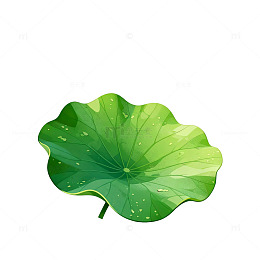 绿色荷叶卡通插画素材