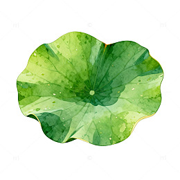 水彩荷叶手绘插画素材