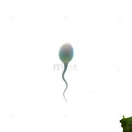 水下微生物艺术插画