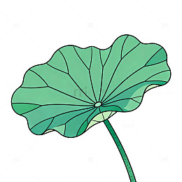 荷叶简笔画绿色植物