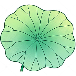 荷叶插画设计素材