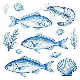 海洋生物插画设计素材