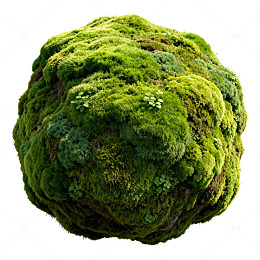 球形苔藓植物生态素材