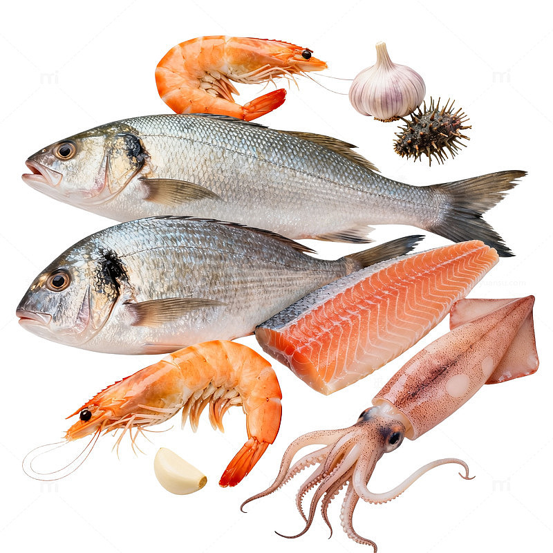 海鲜组合食材插画