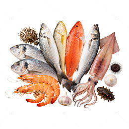 海鲜组合美食插画素材