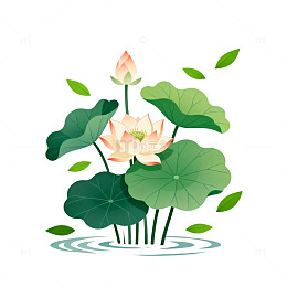 插画风格荷花池景平面设计素材