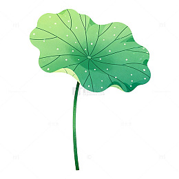 荷叶卡通插画素材