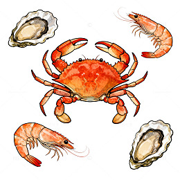 海鲜主题插画设计素材