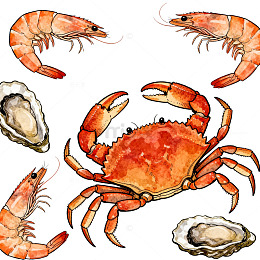 海鲜插画美食图案设计元素