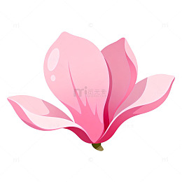 粉色玉兰花插画素材