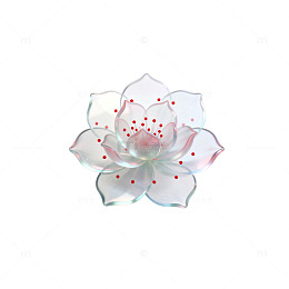 透明花瓣花朵装饰图案