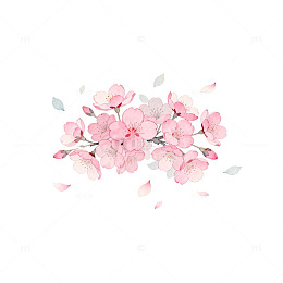 水彩花卉插画设计素材