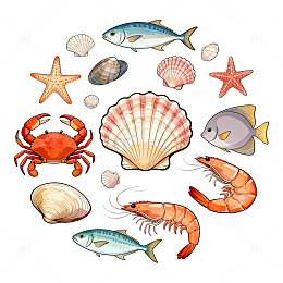 海洋动物贝壳插画设计素材