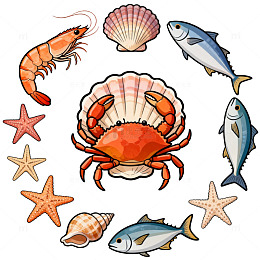 卡通海洋生物插画
