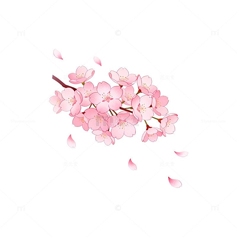 樱花绽放矢量图设计元素