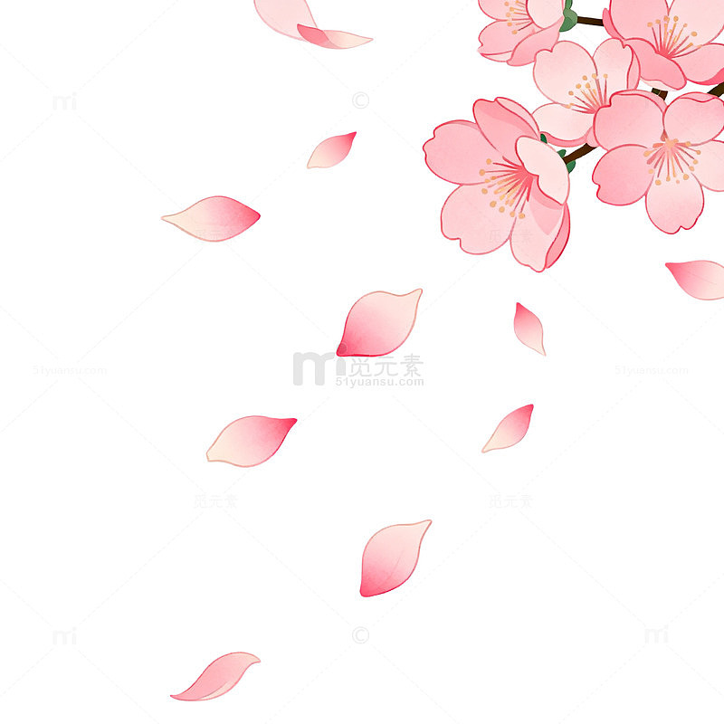 樱花飘落春天插画