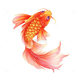 漂亮五彩锦鲤元素