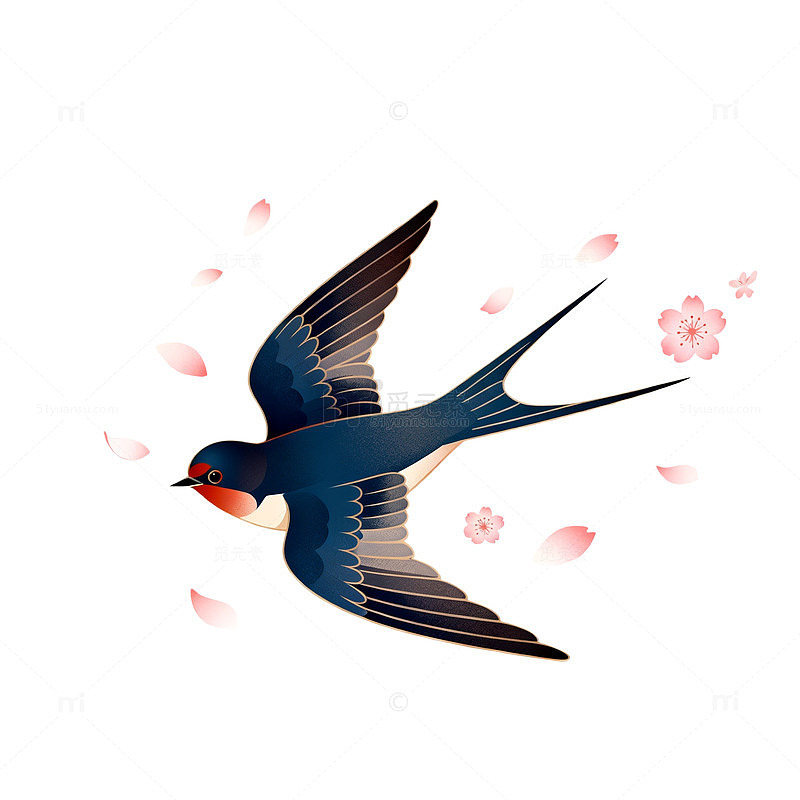 燕子樱花手绘插画